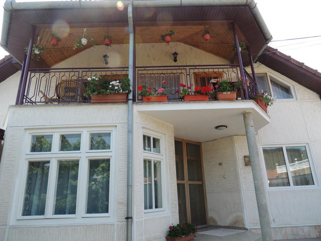Hotel Casa Debora Haţeg Exterior foto
